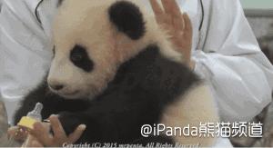 德国队出局德国人怎么看,德国队淘汰出局启示