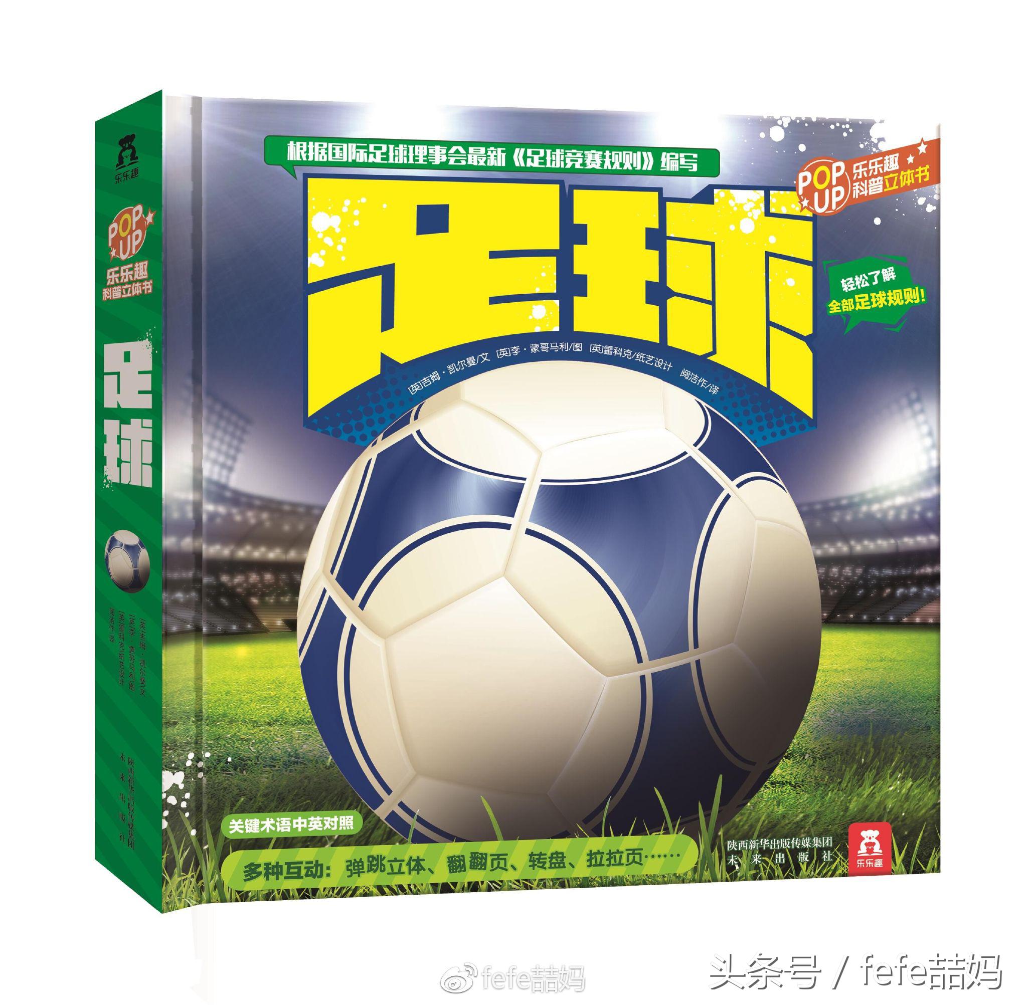 世界杯必读书籍,足球书籍世界杯