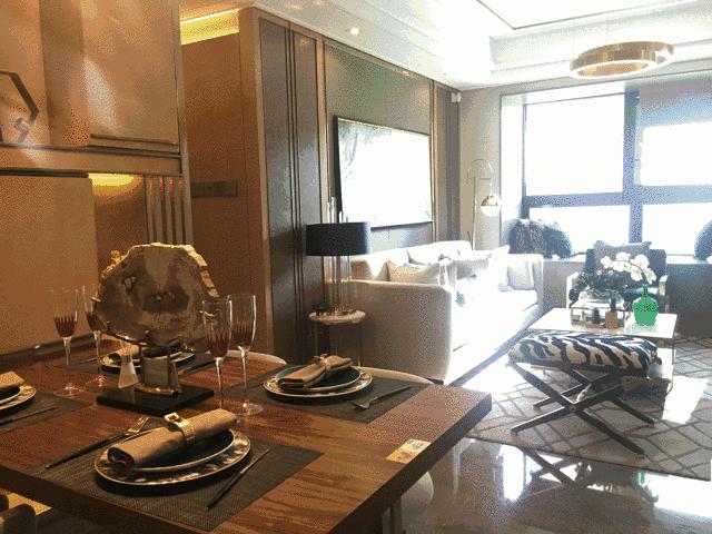 卢俊接受采访,卢俊的全部视频