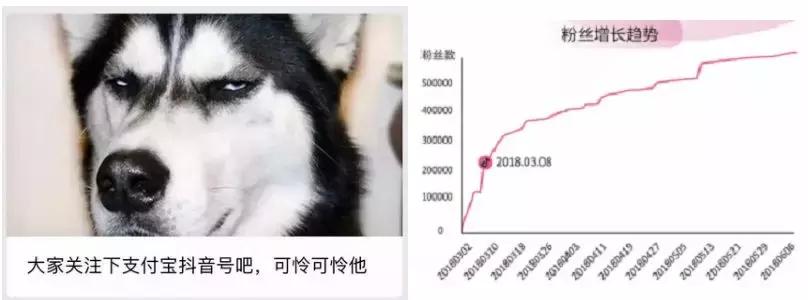 抖音企业蓝v是什么样的,抖音入驻企业蓝v有什么作用