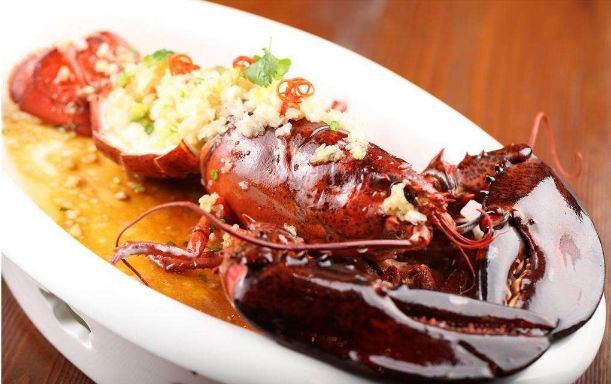 狗狗预测世界杯,宠物预测世界杯韩国vs乌拉圭