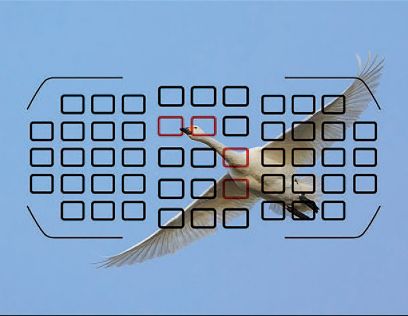 什么是自动调焦模式,什么是自动对焦和手动对焦