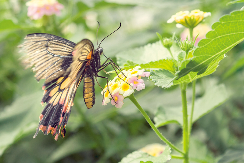 单反相机快速入门,单反相机入门购买