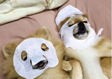 森田的面膜不合格吗,为什么好多森田面膜都买不到了