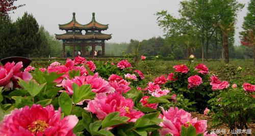 千年帝都洛阳一高，正在凤凰涅槃，浴火重生