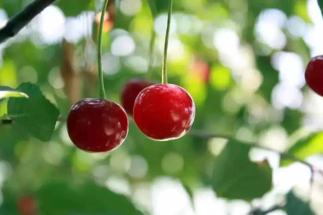 最新消息！国家点名表扬北京这几个区，快看看有你们家嘛？