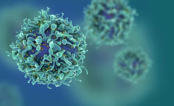 c罗最著名的运动员,除了c罗还有哪些球员