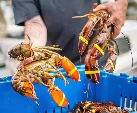 单次世界杯进球最多的国家,世界杯进球最多一场的国家