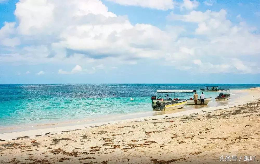 单次世界杯进球最多的国家,世界杯单场进球最多的国家