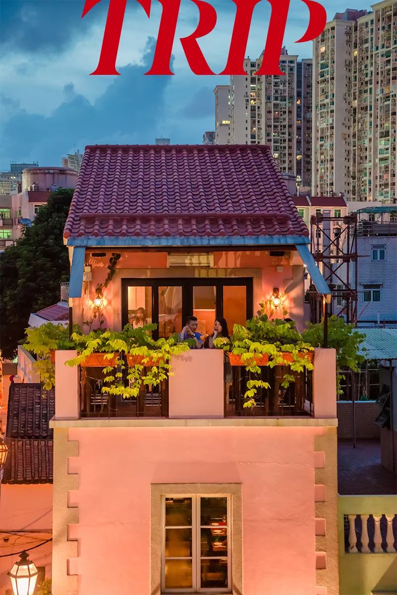 Trip|你好!我是氹仔,了解一下?