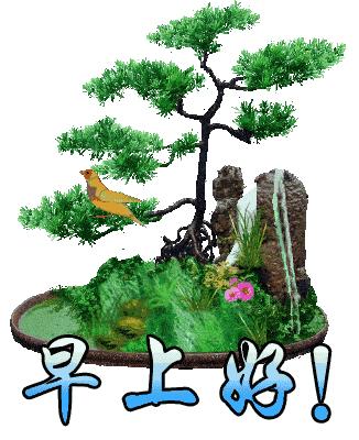 早上好微信动态表情图片大全,早上好微信动态表情精美图片大全