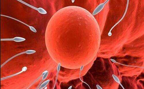 女性有这3种感觉，说明是受精卵着床了，准备好做妈妈吧