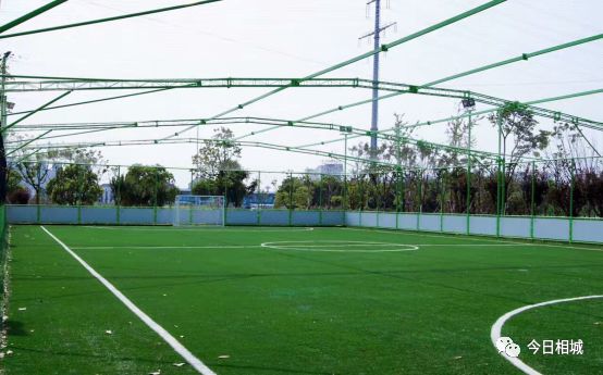世界杯踢球场地是不是草坪,世界杯足球场有没有篮球场大