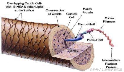 护色小妙招,护色染头发