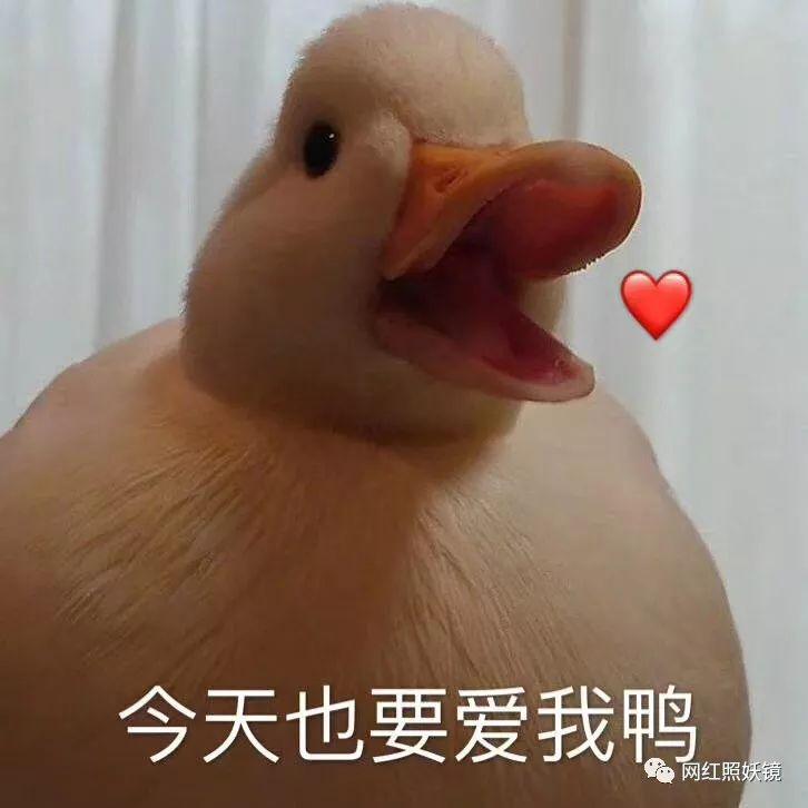 张辛苑化妆台图片,张辛苑美妆