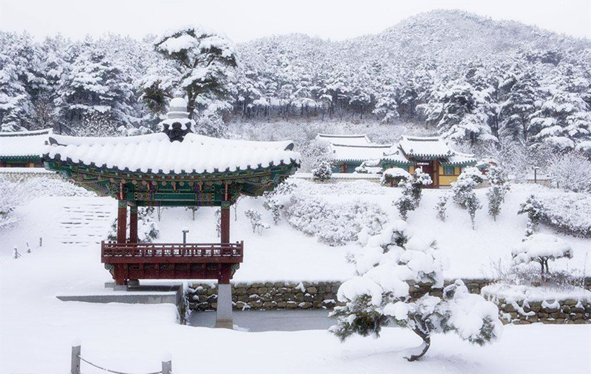 古代的冬天为何冷一些,古代因为寒冷冻死大批人