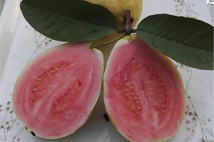 西瓜芒果凤梨百香果,凤梨芒果火龙果西瓜