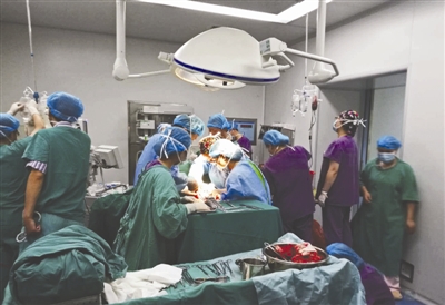 最新孕妇大出血抢救后续,孕妇大出血抢救后续