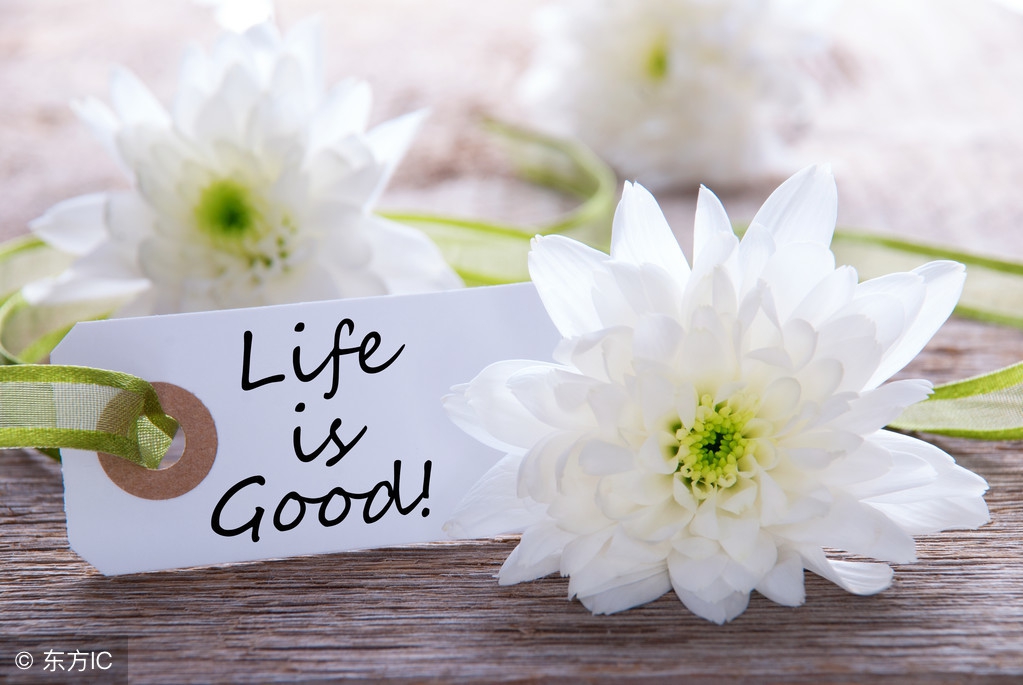 梦境解析：梦见被蛇咬有什么暗示？