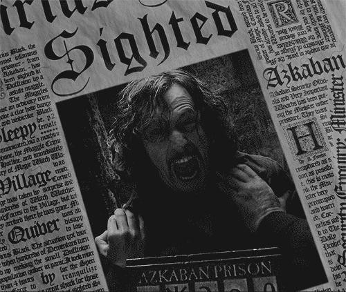 哈利波特中5个神奇的魔法物件,哈利波特100种魔法生物