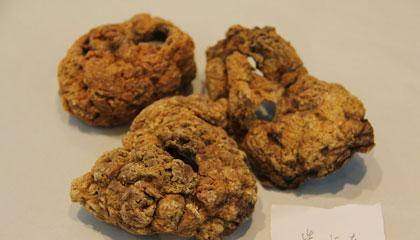 生完小孩后胎盘去哪里了,妈妈们生完孩子胎盘哪里去了