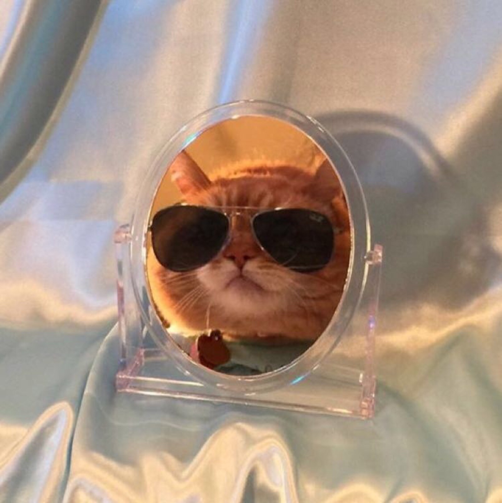 7月票房能不能再创佳绩，就看这几部电影的了！