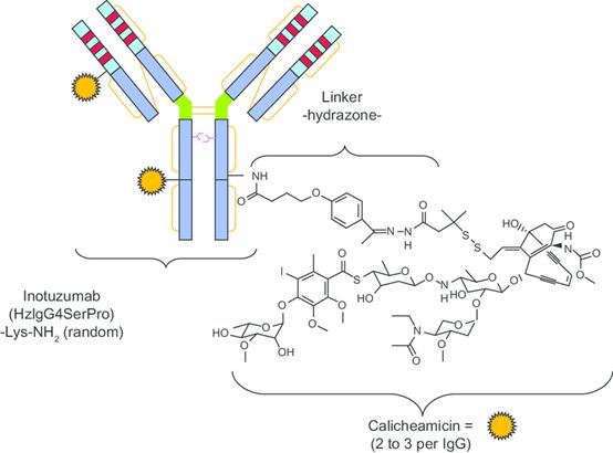 adc药物对骨转移有效吗,adc药物适用哪种癌症
