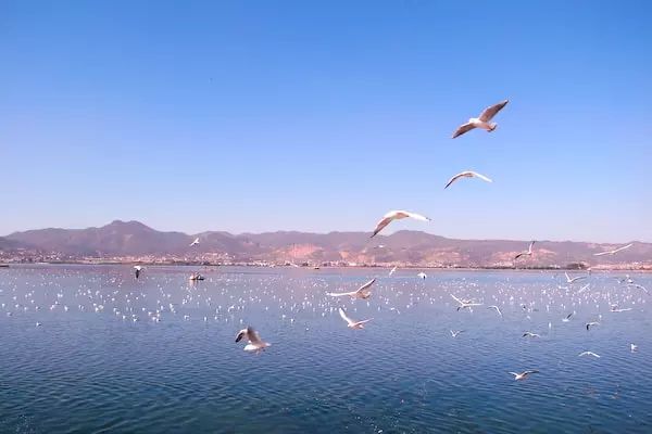 西安去昆明高铁票价,西安市至昆明市高铁票