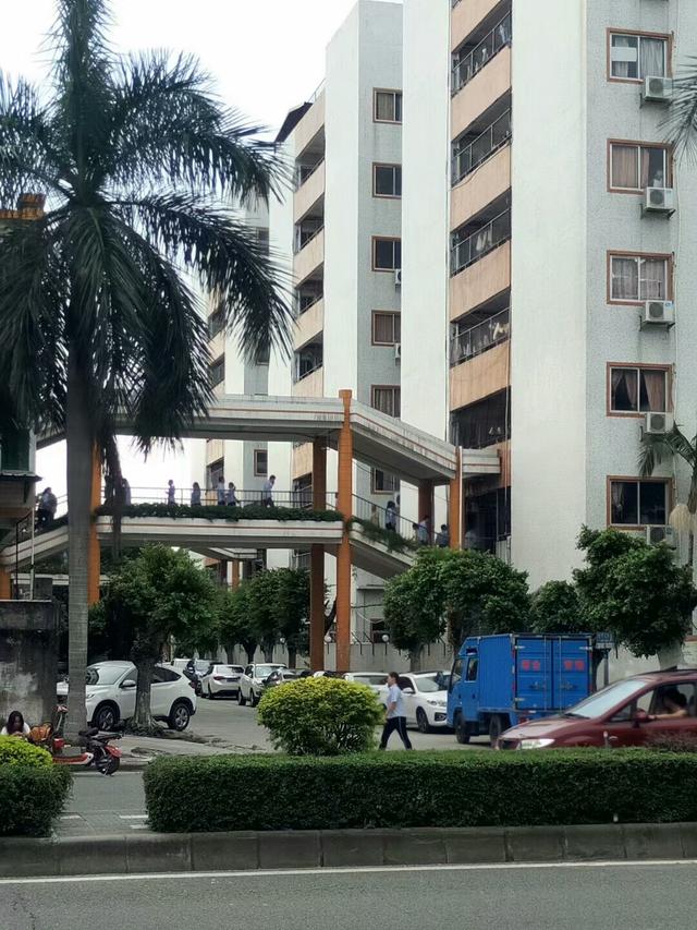 东莞工厂招工真实工资,东莞工厂招工哪家福利好