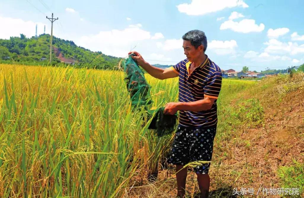 搞农业的赚不赚钱,什么样的农业项目可以挣钱