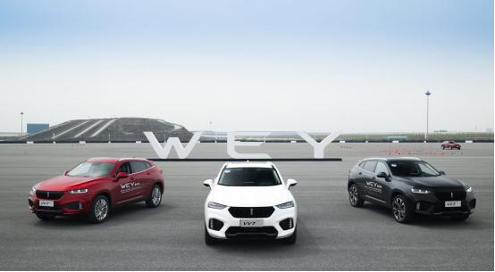 3.2亿粉丝“球王”带来20亿流量，WEY牵手C罗闪耀世界杯