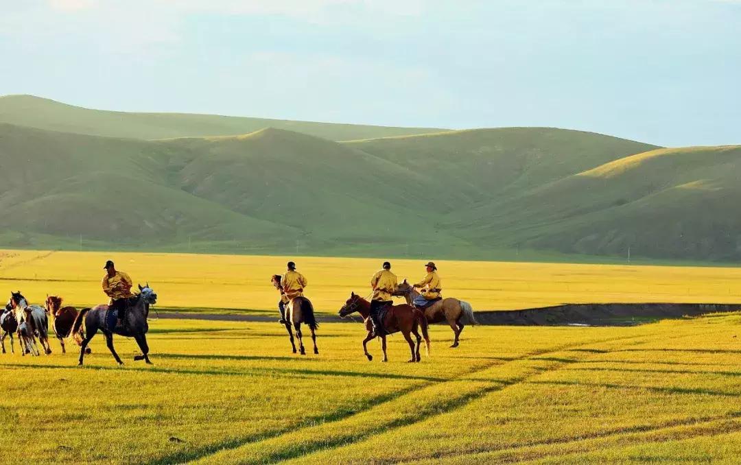 呼伦贝尔陈巴尔虎草原游牧部落 (呼伦贝尔陈巴尔虎旗人多不多)