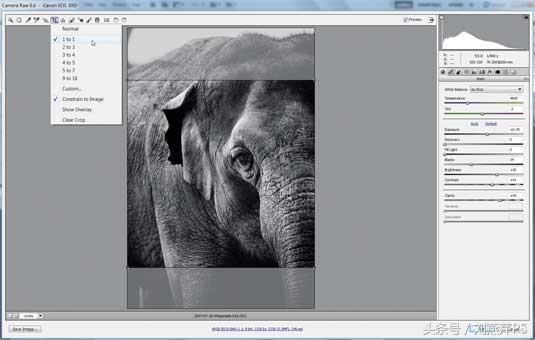 photoshop的100种技巧,photoshopcs新手入门教程视频