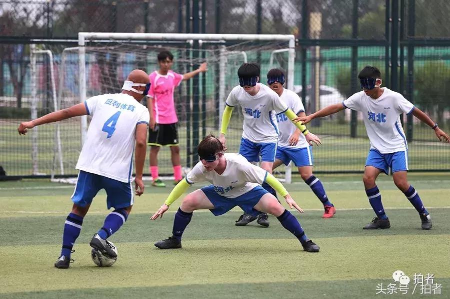 六月的视频片段,六月的惊奇瞬间