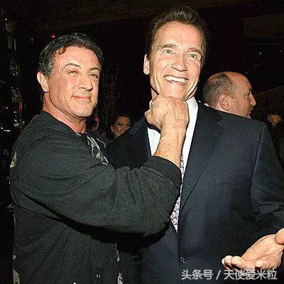 明星的保镖也有公司吗,明星保镖一般在哪里工作