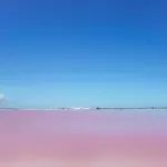 墨西哥雄鹰,墨西哥玛雅文明旅行