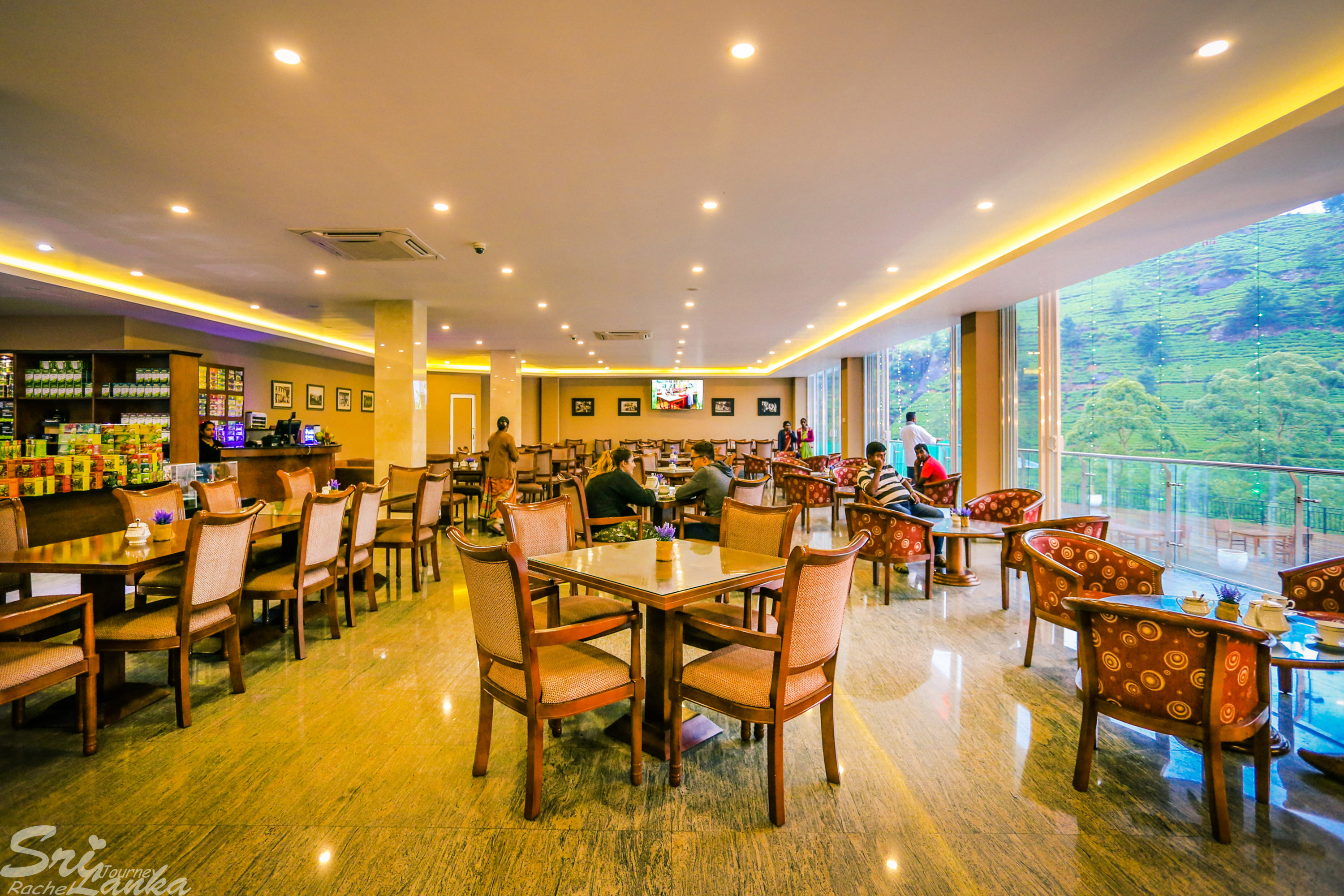 斯里兰卡中国游客,斯里兰卡参观茶厂