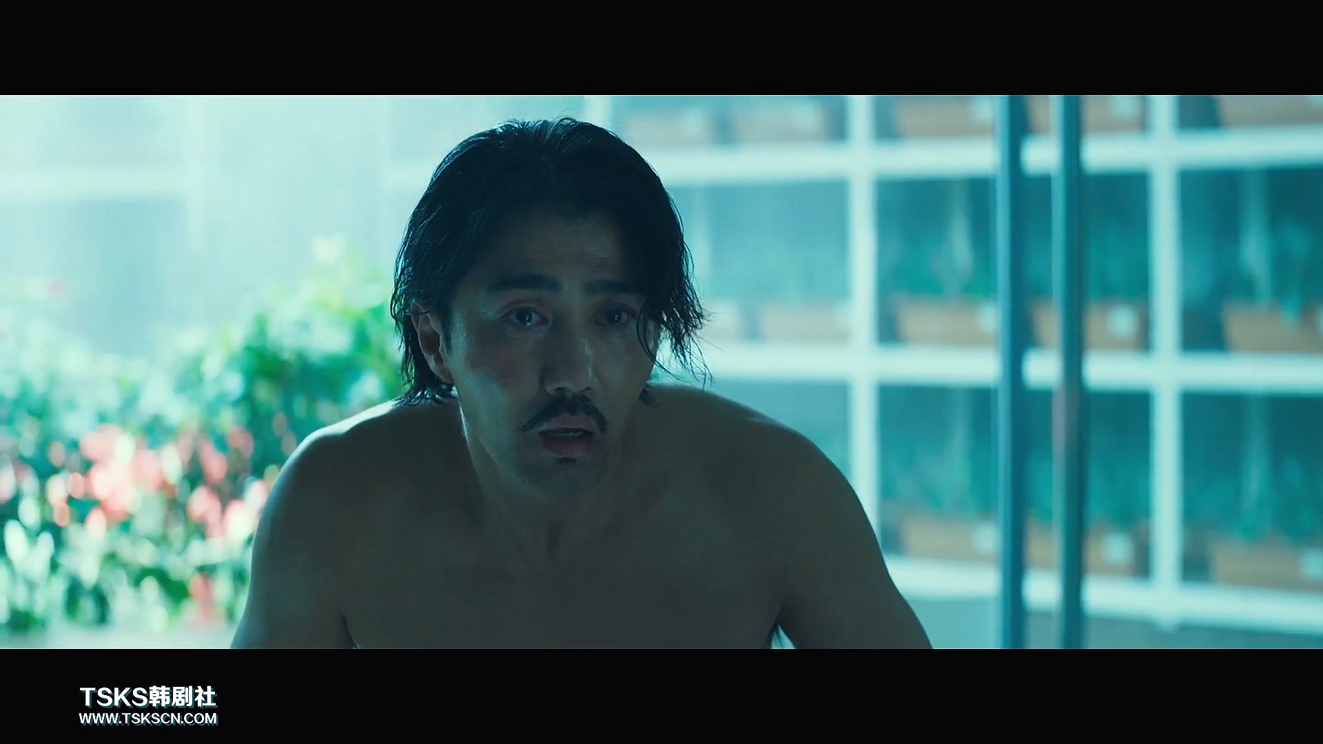 复仇与救赎,韩国复仇电影无尿点