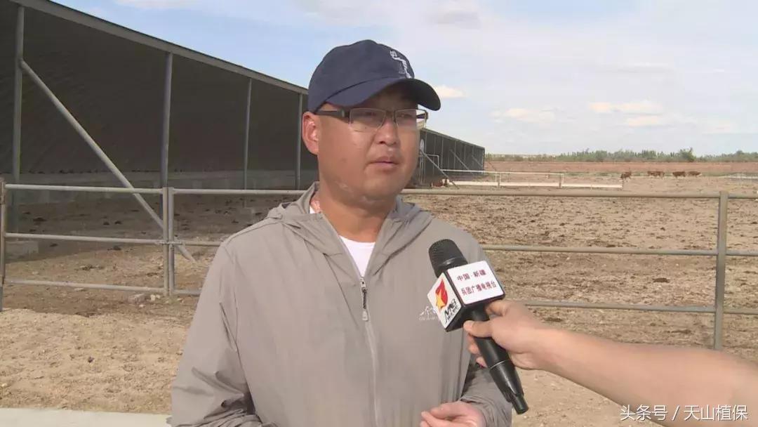 十师团场改革：富了职工活了企业