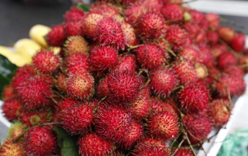 红毛丹营养价值及功效,红毛丹果营养和功效与作用