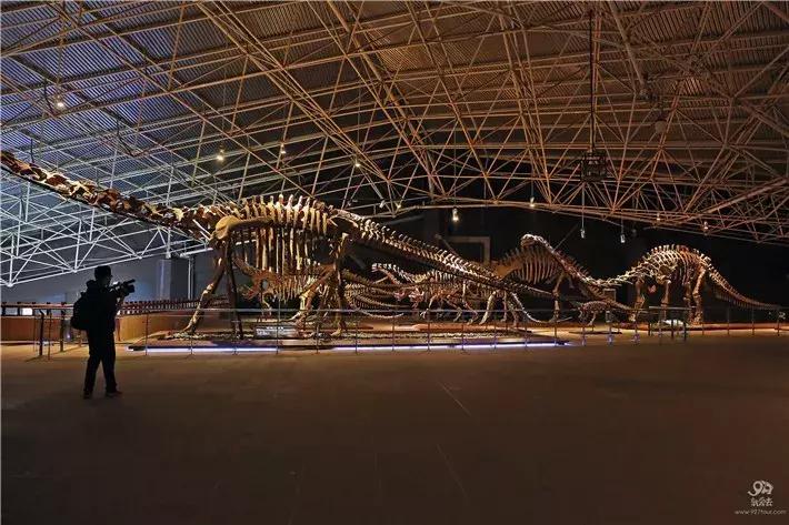 动车才开行,禄丰又迎来一波大波福利