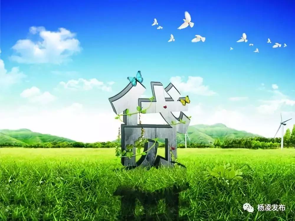 农商银行三农普惠金融,杨凌农商银行