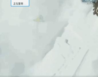 太“凶残”！世界杯“内马尔滚”被网友恶搞，还有人提出解决方案