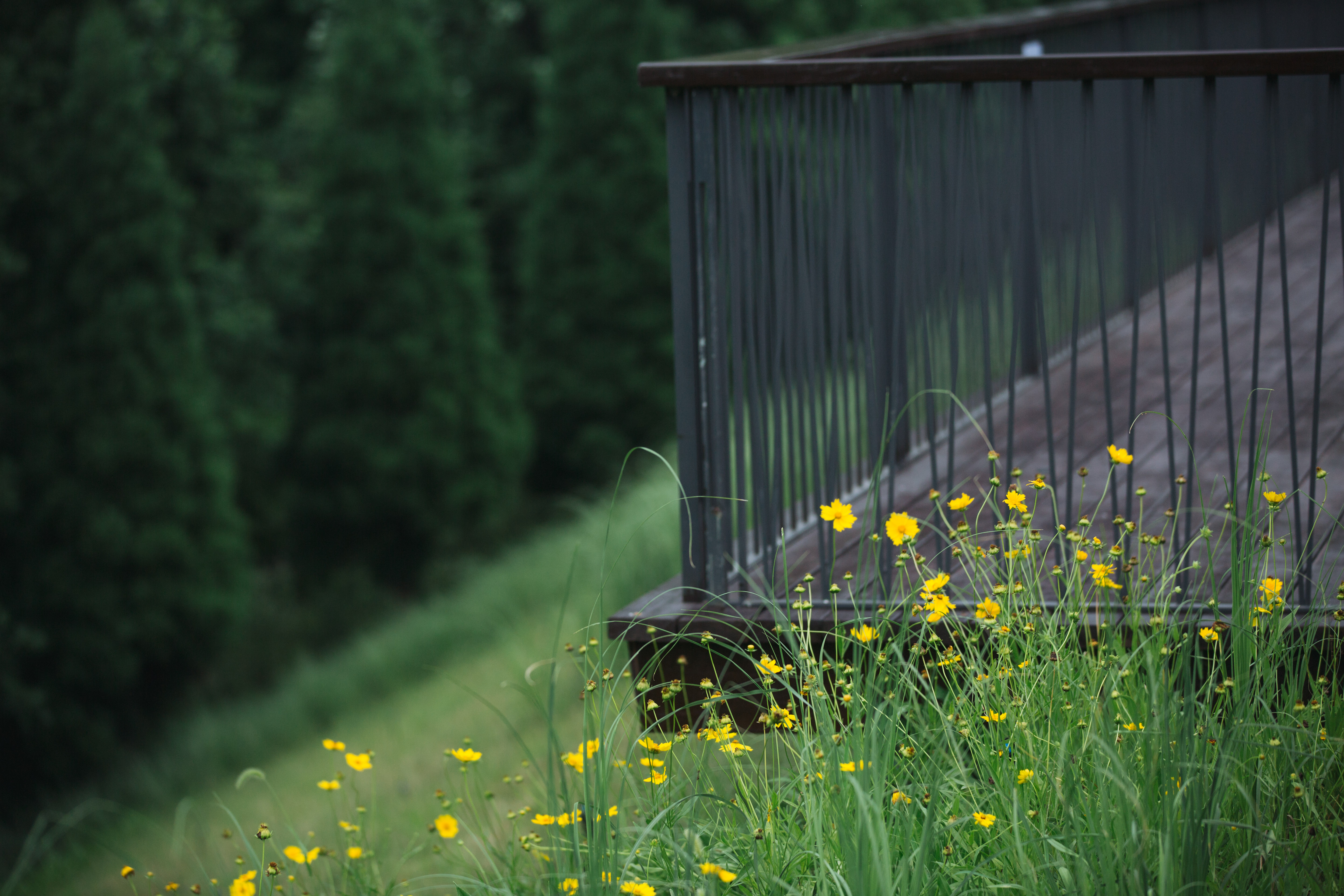 莫干山郡安里君澜度假酒店交通,莫干山郡安里君澜度假区二期酒店