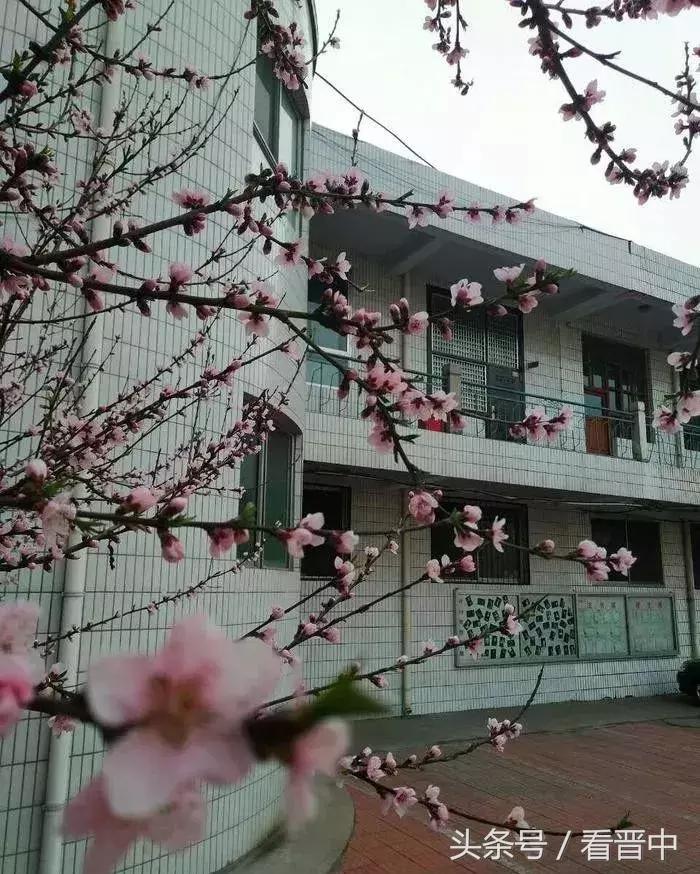 情系职中(杨保卫)