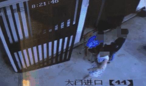 令人发指！桂林60岁保安将手伸进女童裙底，而现实比这更残酷……