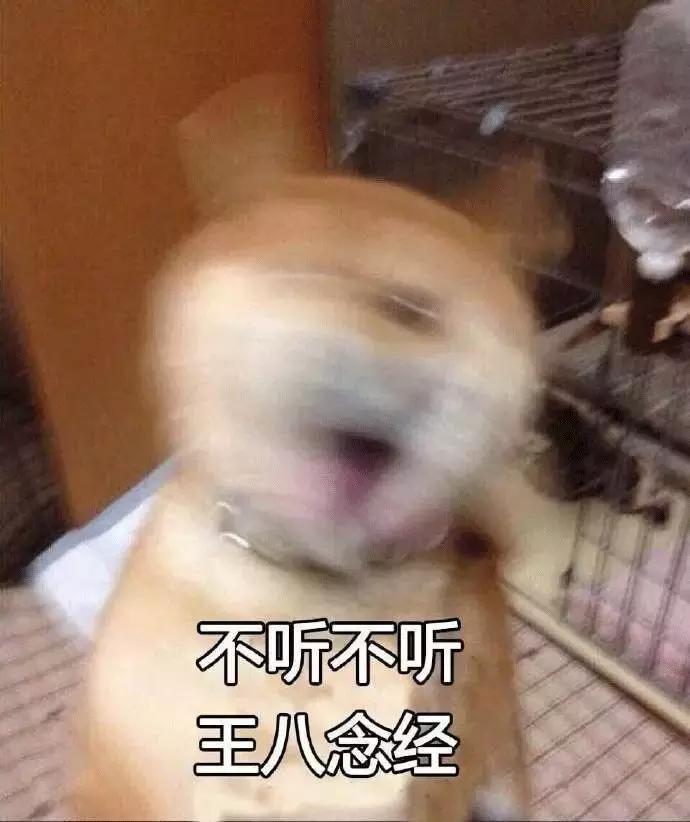 洗内裤机推荐,平价好用的洗内裤机