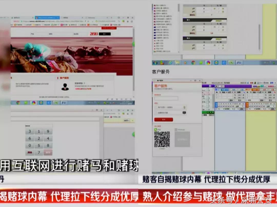 网络赌球背后骗局视频,网络赌球骗局揭秘视频