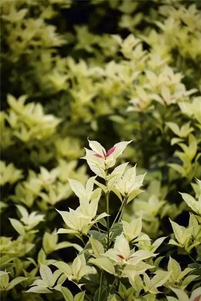 三联周刊,三联周刊讲述的是什么