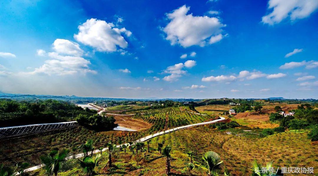 江津被称为硒都吗,江津硒玉遍布哪些地方